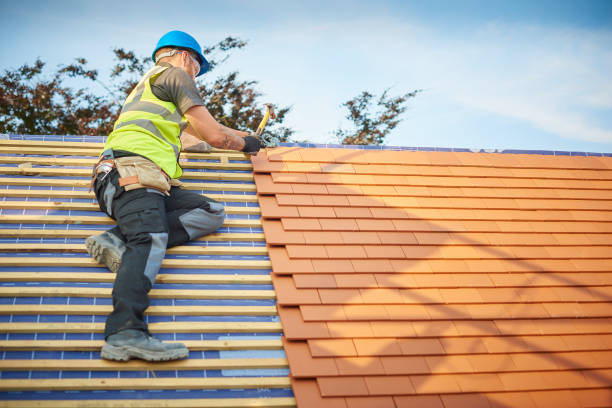 Best Roof Moss and Algae Removal  in Siesta Shores, TX